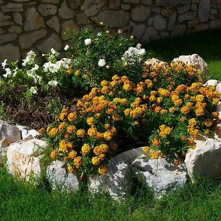 Utopia Luxury Villa Sami (Kefalonia)